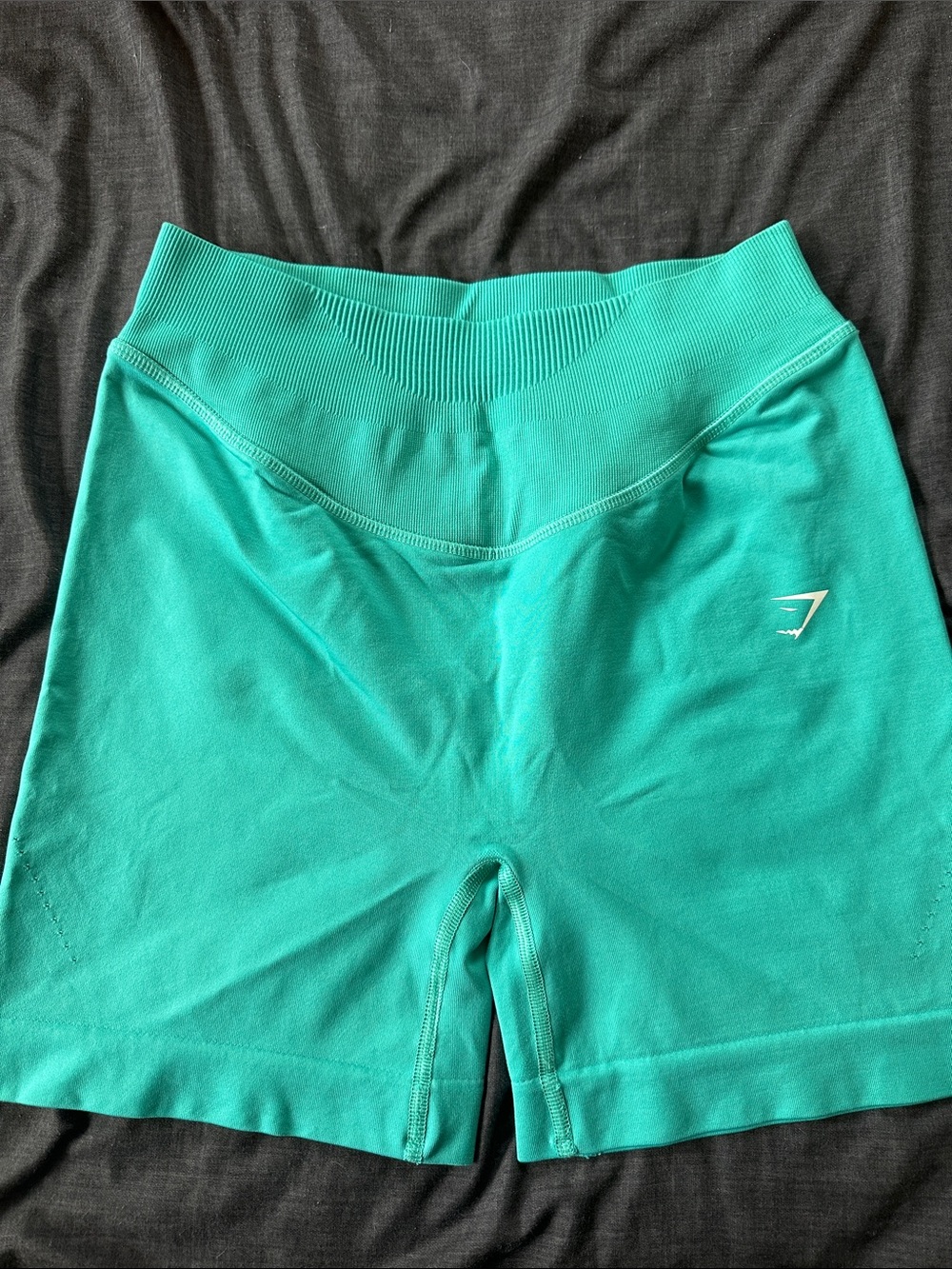 Gymshark Women’s Teal Seamless High-Waist Bike Shorts